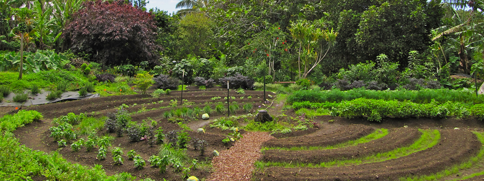 Lorem ipsum dolor sit amet, consectetur adipiscing elit