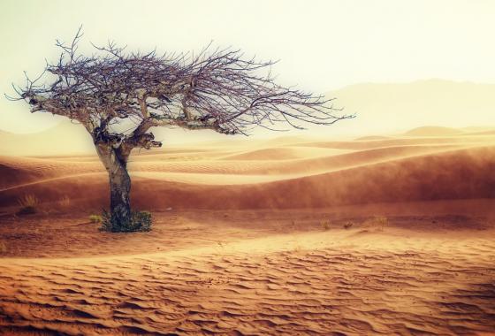 Titre 2 : Médiathèque photos