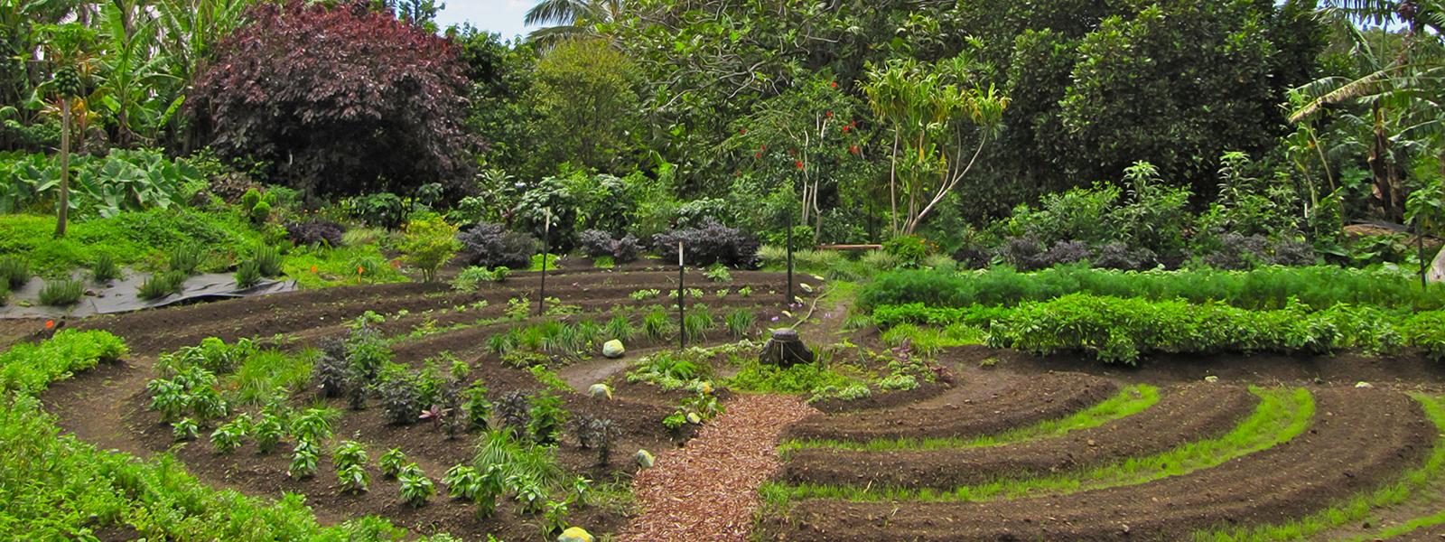 Lorem ipsum dolor sit amet, consectetur adipiscing elit